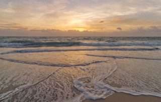 Turtle-Beach-shore