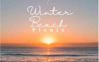 Winter beach picnic in Karachi with bonfires, customized party setups, and services from PALS Outdoors and The Cove