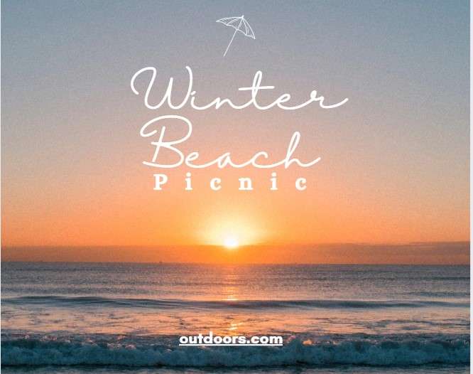 Winter beach picnic in Karachi with bonfires, customized party setups, and services from PALS Outdoors and The Cove