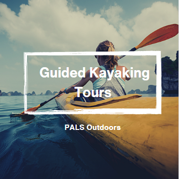Families enjoying guided kayaking tours at French Beach Karachi